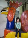 Gigantic Barn Yard Fowl - The Biggest Rooster Ever Made!
