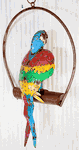 Hanging Colorful Parrot Yard Ornament - Recycled Tin Folk-art