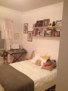 Ladder Shelf - Book Storage for College Dorm or Apartment