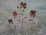 Large Double Dogwood Flower