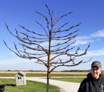 Largest Tree for Woodsy Decor - Metal Tree - Garden Art
