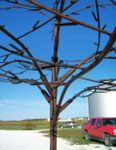 Largest Tree for Woodsy Decor - Metal Tree - Garden Art