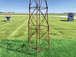 Medium 39 Beehive Topiary Form - Iron Garden Obelisk