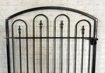Metal 4t x 50w Des Moines Entrance Gate