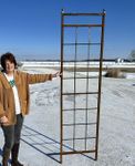 Metal 92.5" Lofty Mission Flower Trellis - Ball Toppers