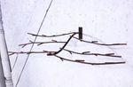 Metal Tree Branch for Woodsy Projects