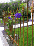 Spike Finial Style 3' Tall Fencing