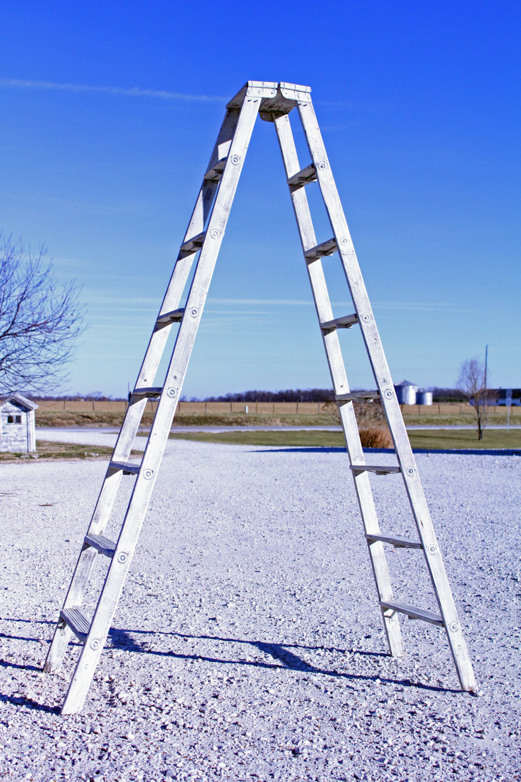 Our Tallest Double Wooden Ladder Shelving With 8 Shelves