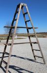 Our Tallest Double Wooden Ladder Shelving With 8 Shelves