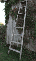 8 Half Step Ladder Wooden Shelf