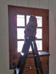 Pippa The Cat Has A New Perch On Ladder