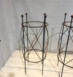 Plant Support For Peony & Tomato Obelisk 36t x 15w