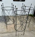 Plant Support For Peony & Tomato Obelisk 36t x 15w