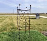 Plant Support For Peony & Tomato Obelisk 36t x 15w