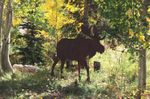 Rustic Metal Moose Silhouette - Garden Stake