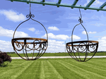 Shaundra Metal Flower Planter Basket 