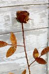 Single Rose Tin Garden Stake