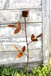 Single Rose Tin Garden Stake