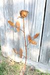 Single Rose Tin Garden Stake