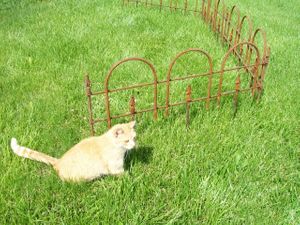 16" Garden Iron Edging Fence that Interlocks