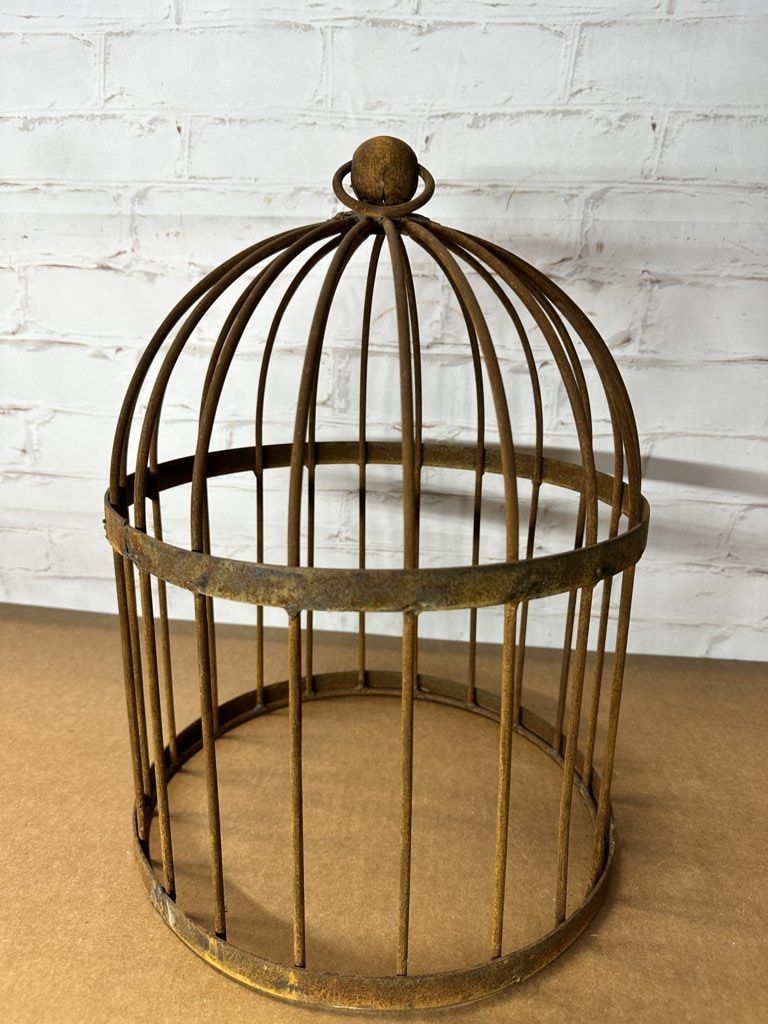 Medium Bird Cage Cloche Topiary Plant Support