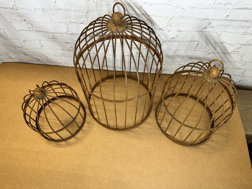 Large Bird Cage Cloche Topiary Plant Support