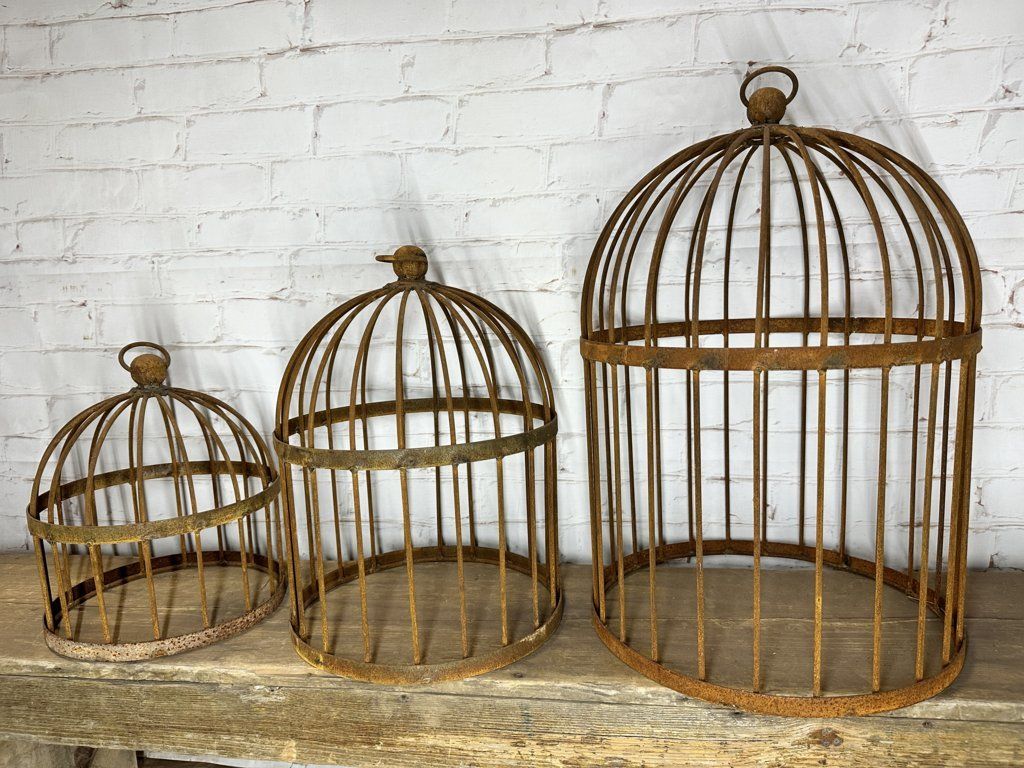 Large Bird Cage Cloche Topiary Plant Support