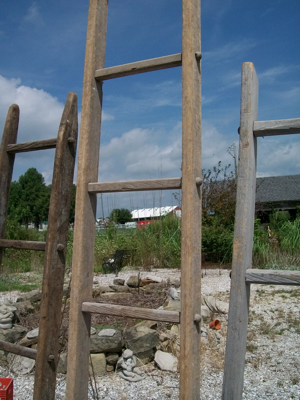Vintage Apple Orchard Wooden Ladders