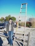 Tall 10 Step Rustic Wooden Ladder Shelf OUT OF STOCK