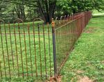 Wrought Iron 4 Tall Fencing - Metal Fence To Enclose Yards