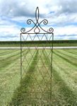 Wrought Iron 67.5" Leo Trellis Flower Support 
