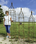Wrought Iron 78 Double Tall Rose Topiary Garden Trellis Rustic Metal