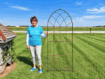 Wrought Iron 84 Wide Milton Garden Trellis Gothic Arch Climbing Roses