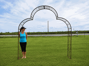 Wrought Iron Arch Fancy Curl Driveway Arbor -10 ft
