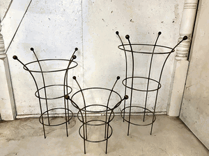 Wrought Iron Bella Topiary Trellis Plant Support 3 Sizes