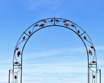 Wrought Iron Bird Arbor Garden Trellis