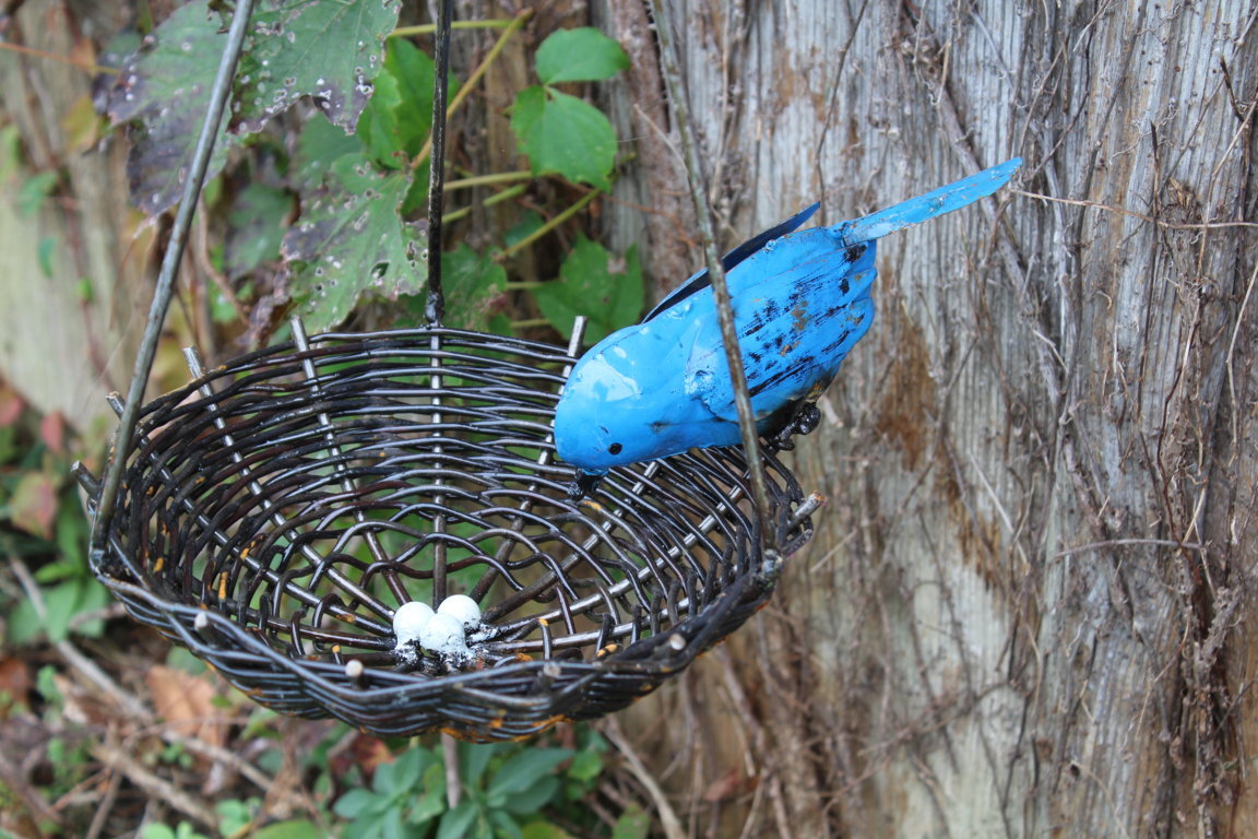 Wrought Iron Bird Nest Cardinal , Bluebird, or Oriole