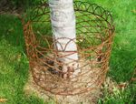 Wrought Iron Circle Garden Edging Fence