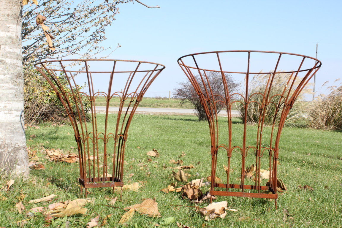 Wrought Iron Cone Topiaries Plant Supports Trellis