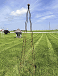 Wrought Iron Extra Large Sonny 70 Obelisk Garden Trellis