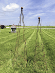 Wrought Iron Extra Large Sonny 70 Obelisk Garden Trellis