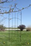 Wrought Iron Finial Top Trellis Flower Support