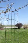 Wrought Iron Finial Top Trellis Flower Support