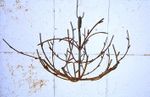 Wrought Iron Hanging Branch Tree