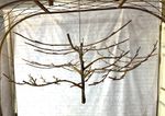 Wrought Iron Hanging Limb Tree Metal Branches