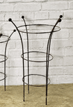Wrought Iron Lg Bella Topiary Trellis Plant Stake Support