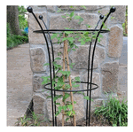 Wrought  Iron Med Bella Topiary Trellis Plant Support