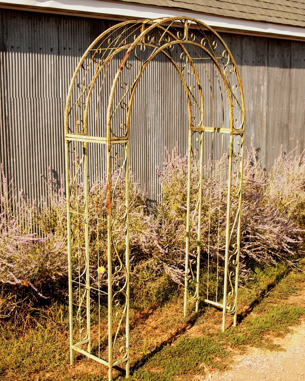 Wrought Iron Round Top Garden Trellis Double Arches 60"