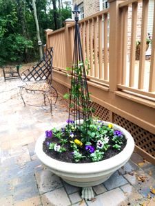Wrought Iron Triangle Topiary Trellis w/ Flowers