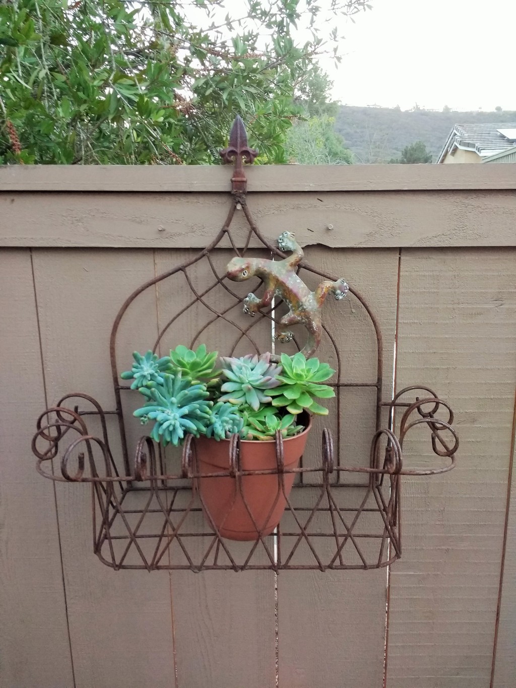 Wrought Iron Tuscan Wall Baskets Planters in 2 Sizes